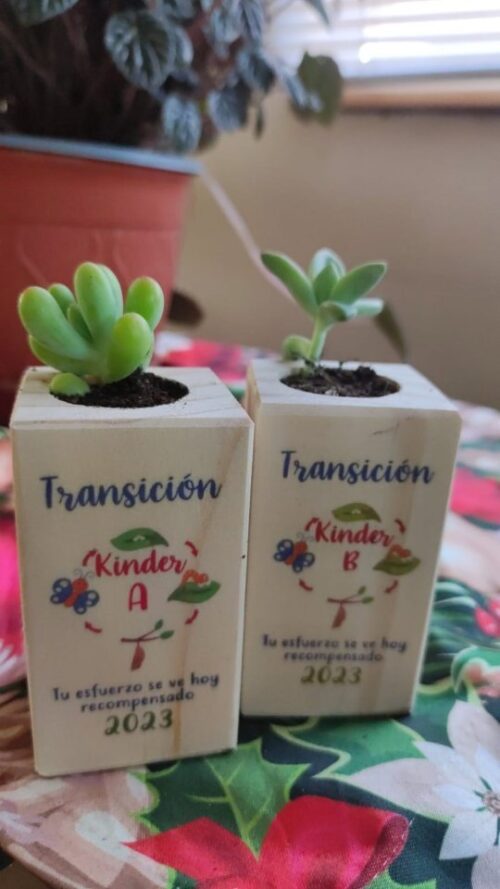Recuerdos Vivos / Eco Souvenirs - Imagen 2