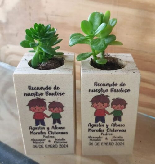 Recuerdos Vivos / Eco Souvenirs - Imagen 5