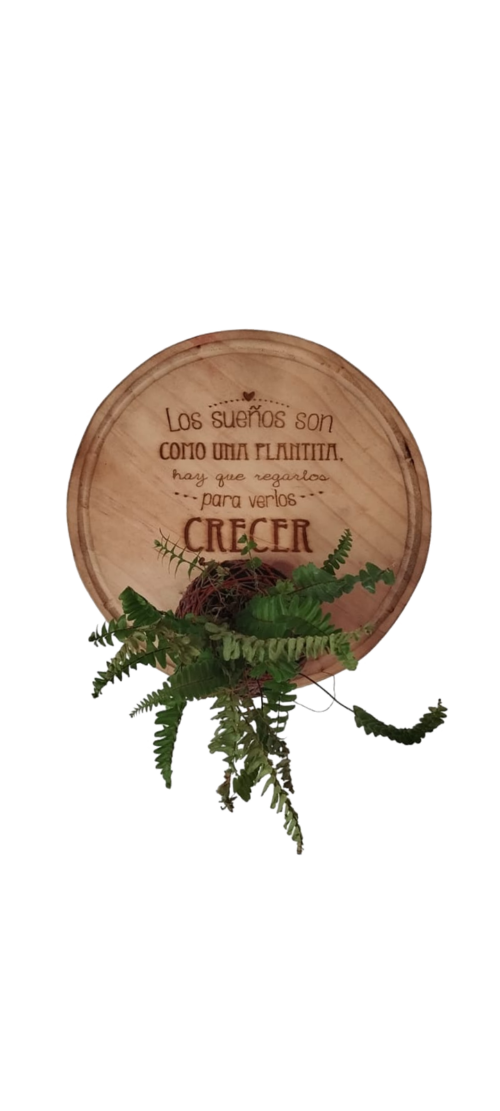 Tablas colgantes grabadas con laser y planta.